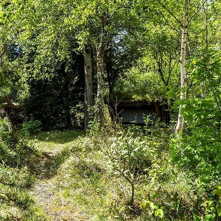 Prázdninový dům 10706-ulfborg-graevlingevej-3 *