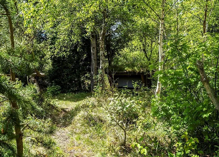 Σπίτι διακοπών 10706-ulfborg-graevlingevej-3 *